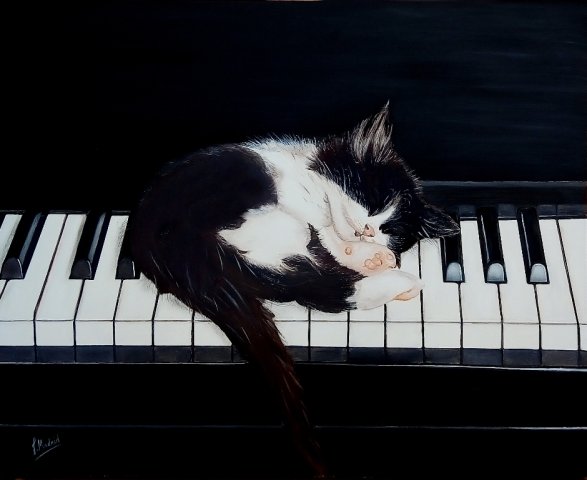 El sueño del pianista